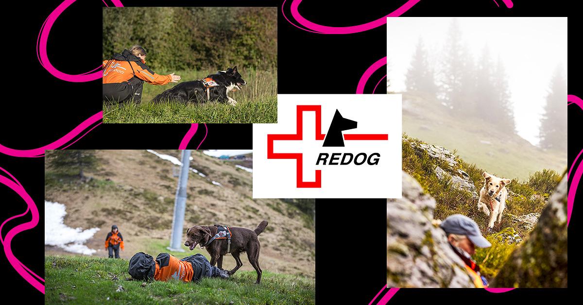 QoQa – Redog Eine Spende = 1/4 Stunde Einsatz zur Suche einer ...