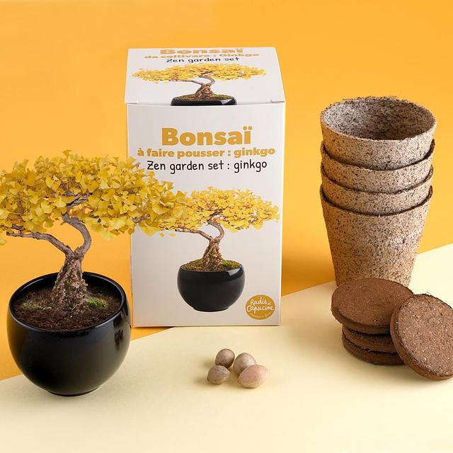 QoQa  Radis et Capucine Pflanz-Kits im Topf