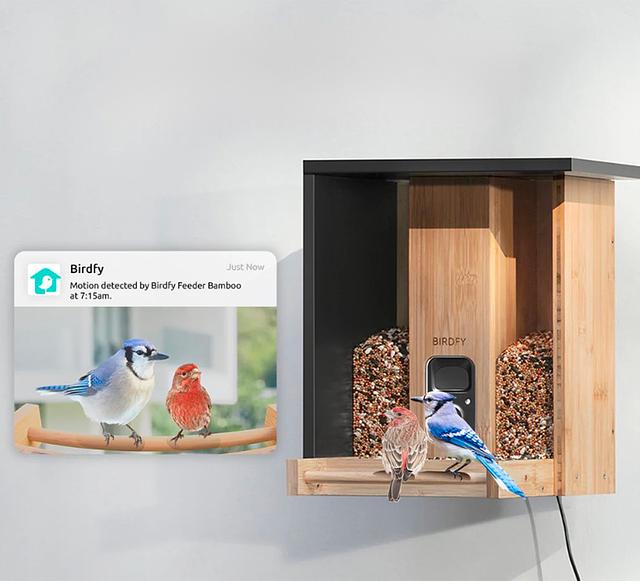 Zivif Mangeoire à Oiseaux Avec Caméra, Caméra D'observation