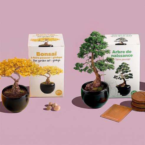 QoQa  Radis et Capucine Pflanz-Kits im Topf