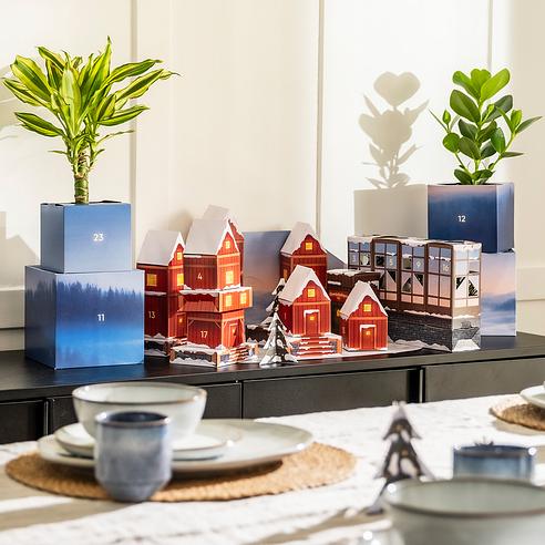 QoQa  FEEY Pflanzen-Adventskalender nach Wahl und Zubehr + exklusive  Geschenke