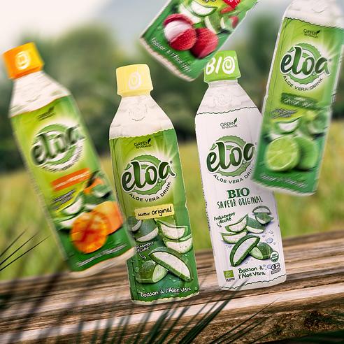 memory aloe vera Hochdichter Aloe-Vera-Memory-Topper, abnehmbar und waschbar, hergestel   Ilgruppone