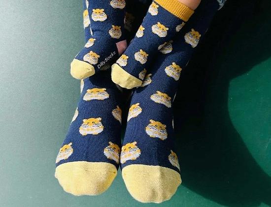 DillySocks