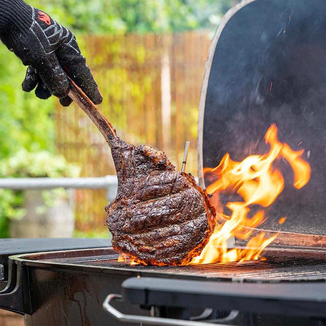 MEATER | Jusqu'à 10m Thermomètre à viande intelligent réellement sans MEATER | Jusqu'à 10m Thermomètre à viande intelligent réellement sans