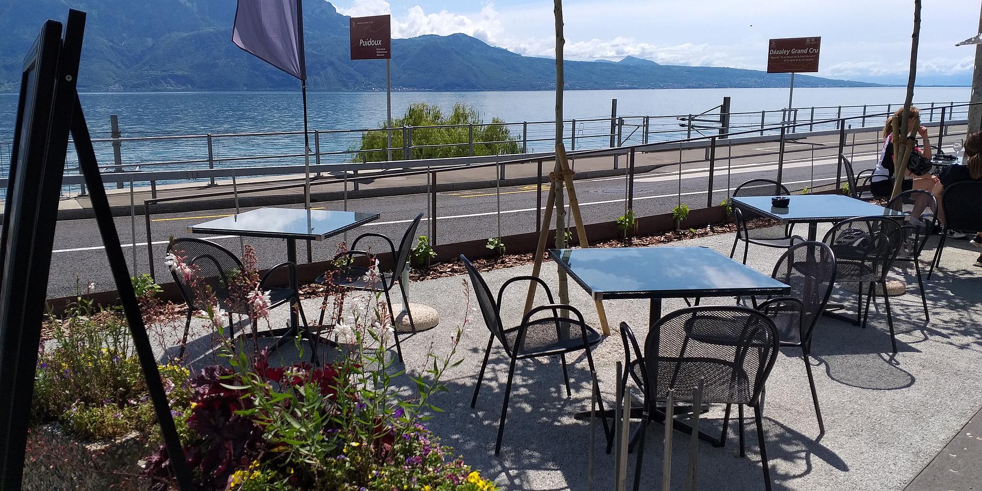 QoQa – Lavaux Vinorama 140 vignerons de Lavaux représentés dans un