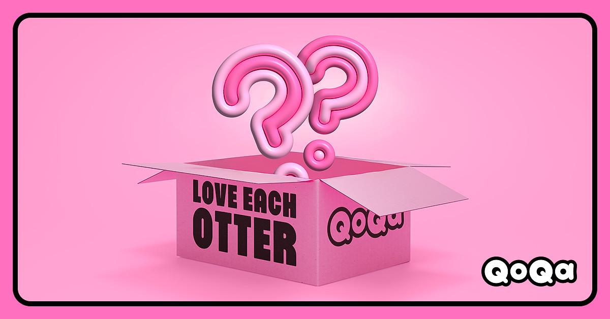 QoQa – Mysterybox QoQa On vide nos armoires et c'est toi qui en profites!