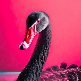BLACKSWAN