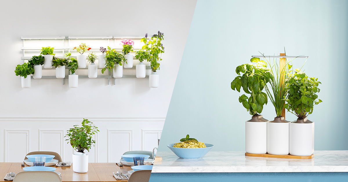 QoQa – Prêt à pousser Potager d’intérieur