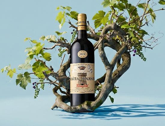 Château Pradeaux