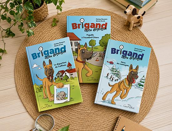 Brigand, chien détective