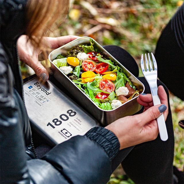 Petit Sac Isotherme Repas Lunch Bag Portable Glaciere Souple Isotherme Imperméable avec Feuille