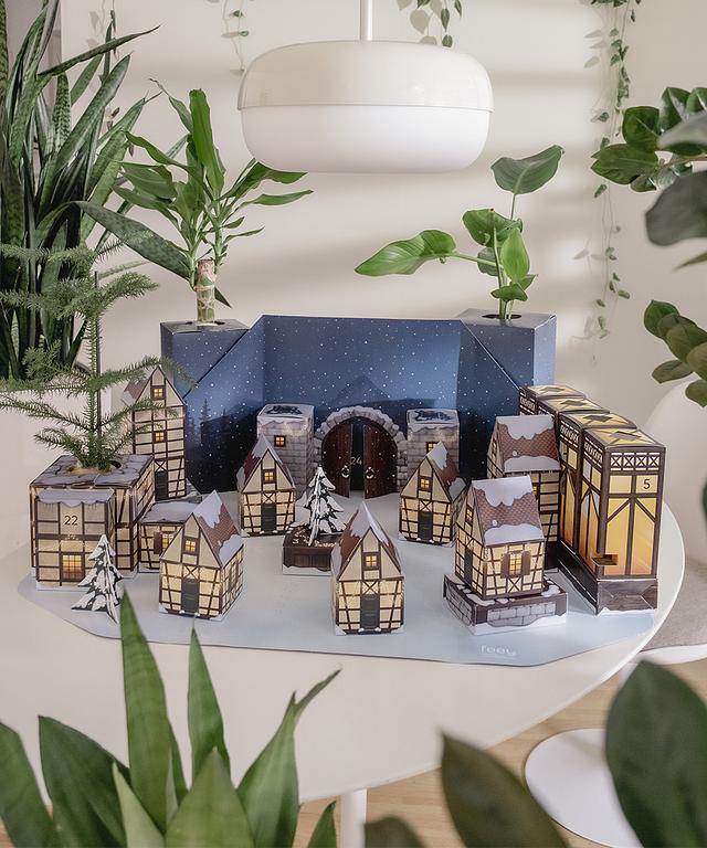 QoQa  Feey Pflanzen-Adventskalender