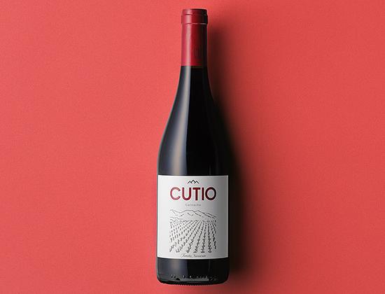 Jorge Navascués - Cutio 2024