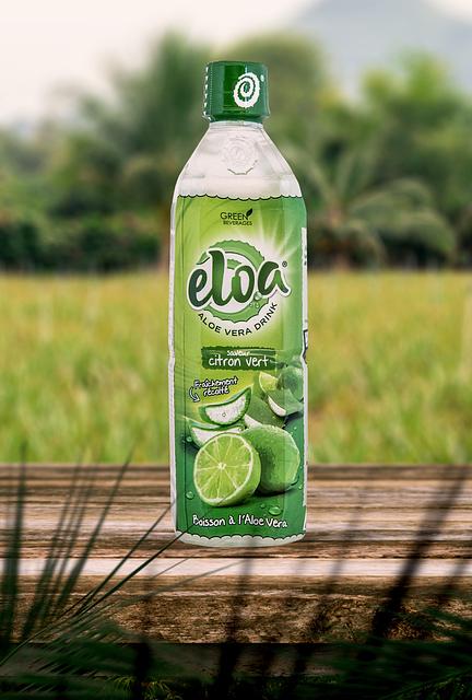 wie sehen aloe vera samen aus Seedeo® Aloe vera ( Aloe vera syn. Aloe barbadensis) 15 Samen main image 1