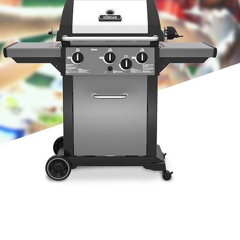 QoQa KOENIG Grill Royal S 370 Housse Accessoires