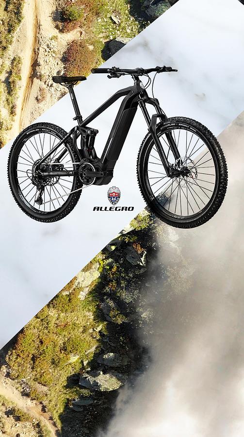 QoQa ALLEGRO Fully E VTT Rockster AXF 05