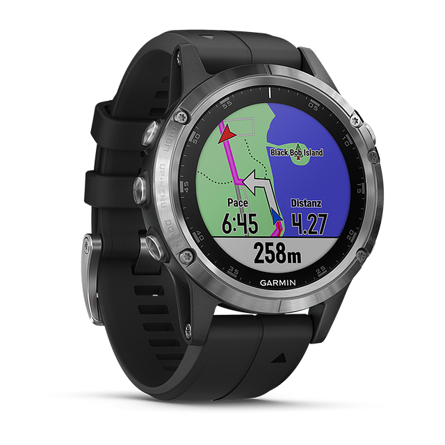 QoQa Garmin Fenix 5 Plus