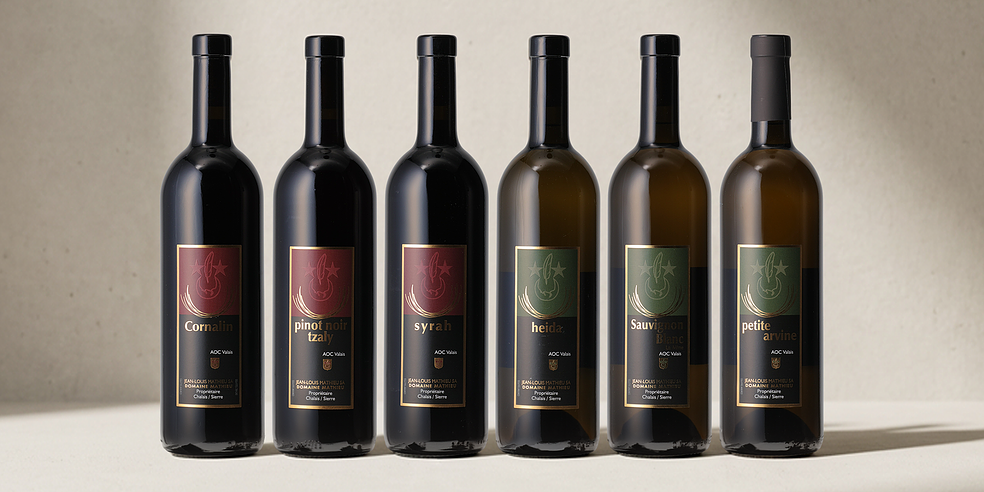 QoQa – Domaine Mathieu Valais AOC