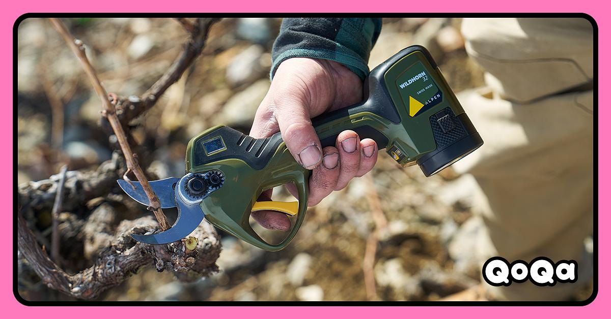 QoQa – Alpen Outils de taille